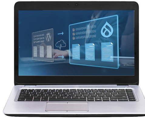 Large-Scale CMS Migration for a Pharma Awareness Platform